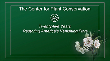 cpc-title slide